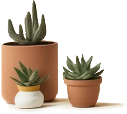 plant-pots